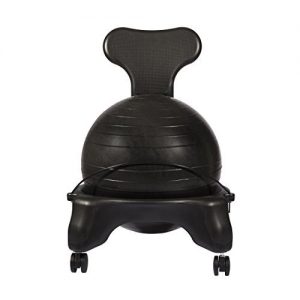 LuxFit Office Ball Chair